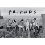 FRIENDS - Poster 91x61cm