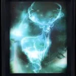 HARRY POTTER - 3D Lenticular Poster 26X20 - Expecto Patronum
