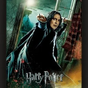 HARRY POTTER - Deathly Hallows - 3D Lenticular Poster 26x20cm