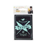 HARRY POTTER - Charms - Magnet