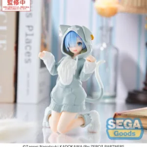 Re ZERO - Rem - Yumemirize Figure 11cm