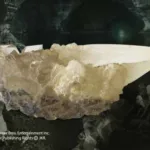 HARRY POTTER - The Crystal Goblet