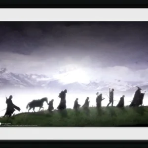 LORD OF THE RINGS - Collector Print 30X40 - Fellowship