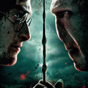 HARRY POTTER - GLASS PRINT - Harry / Voldemort - 30X40 Cm
