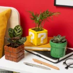 SUPER MARIO - Set of 3 mini Decorative Pots