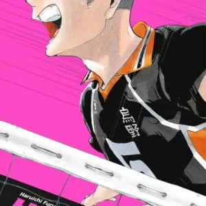 HAIKYU !! - Les as du volley - EDITION SMASH - Tome 12