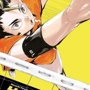HAIKYU !! - Les as du volley - EDITION SMASH - Tome 2