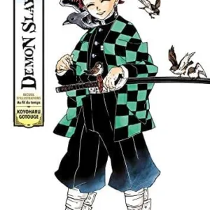 DEMON SLAYER - Artbook officiel