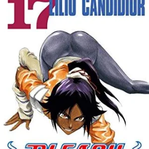 BLEACH - Tome 17