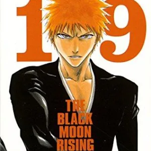 BLEACH - Tome 19