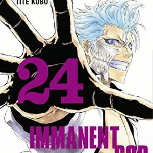 BLEACH - Tome 24