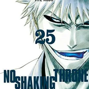 BLEACH - Tome 25