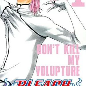 BLEACH - Tome 31