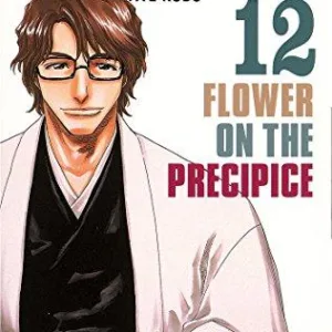 BLEACH - Tome 12