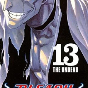 BLEACH - Tome 13