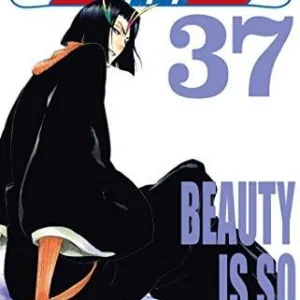 BLEACH - Tome 37
