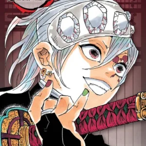 DEMON SLAYER - Tome 3 - Edition Pilier