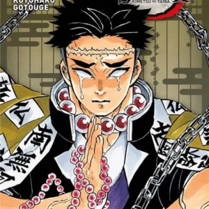 DEMON SLAYER - Tome 5 - Edition Pilier
