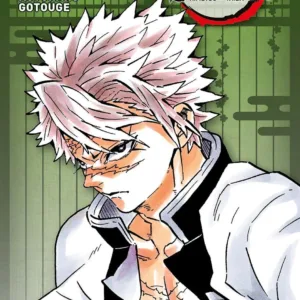 DEMON SLAYER - Tome 6 - Edition Pilier