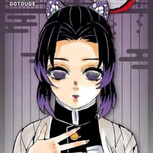 DEMON SLAYER - Tome 7 - Edition Pilier