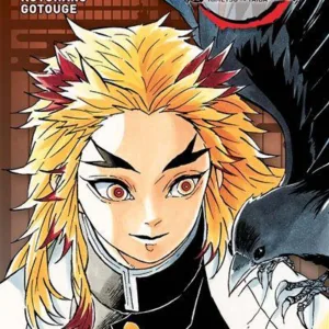 DEMON SLAYER - Tome 2 - Edition Pilier
