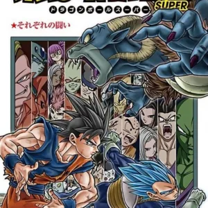 Dragon Ball Super - Tome 13