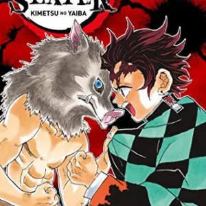 DEMON SLAYER - Tome 4
