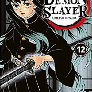 DEMON SLAYER - Tome 12