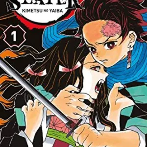 DEMON SLAYER - Tome 1