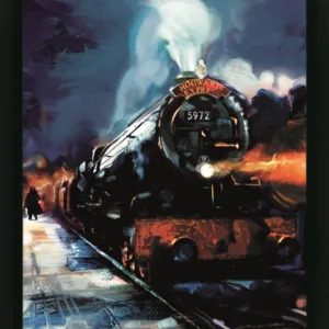 HARRY POTTER - Poudlard Express - Poster lenticulaire 3D 29x24x4cm