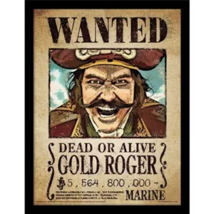 ONE PIECE NETFLIX - Gold Roger - Impression encadrée 30x40cm