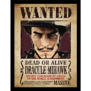 ONE PIECE NETFLIX - Dracule Mihawk - Impression encadrée 30x40cm