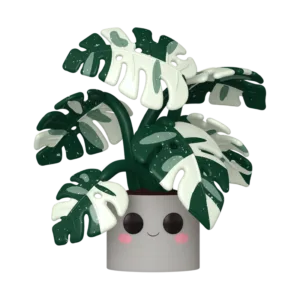 FLORA - POP JUMBO N° 13 - Monstera