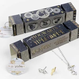 HARRY POTTER - Cracker Cadeau - Collier & Boucles d'Oreilles Lunettes
