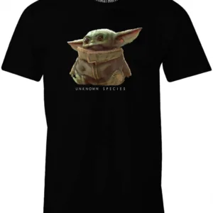 THE MANDALORIAN - Espèce inconnue - T-shirt homme (XL)