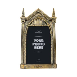HARRY POTTER - Miroir de Rised - Cadre Photo 3D