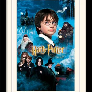 HARRY POTTER - Mounted & Framed 30X40 Print - Philosophers Stone