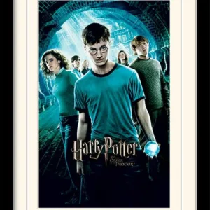 HARRY POTTER - Mounted & Framed 30X40 Print - Order of The Phoenix