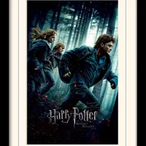 HARRY POTTER - Mounted & Framed 30X40 Print - Deathly Hallows Part 1
