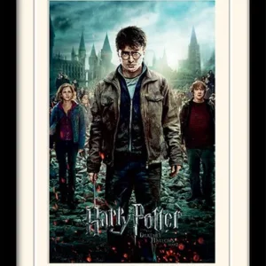 HARRY POTTER - Mounted & Framed 30X40 Print - Deathly Hallows Part 2