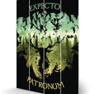 HARRY POTTER - Expecto Patronum - Impression sur bois 20x29.5