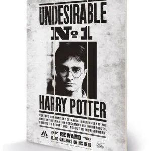 HARRY POTTER - Undesirable No1 - Impression sur bois 20x29.5
