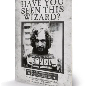 HARRY POTTER - Sirius Wanted - Impression sur bois 20x29.5