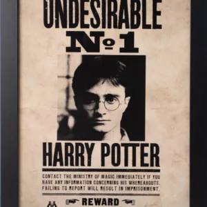 HARRY POTTER - Indésirable N°1 - Collector Print '30x40cm'