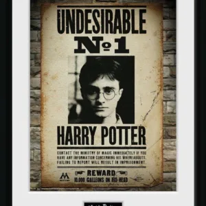 HARRY POTTER - Collector Print 30X40 - Undesirable No1