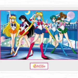SAILOR MOON - Collector Print 30X40 - Group