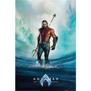AQUAMAN ET LE ROYAUME PERDU - Tempête - Poster 61 x 91cm