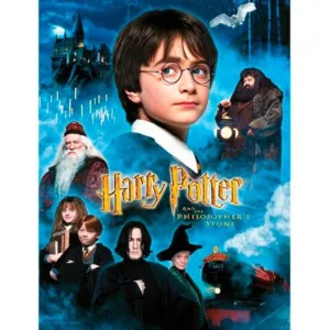 HARRY POTTER - Impression en Verre - Philosopher's Stone - 30X40 Cm