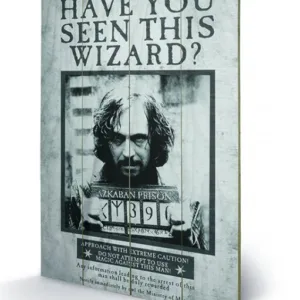 HARRY POTTER - Sirius Wanted - Impression sur bois 40x59cm