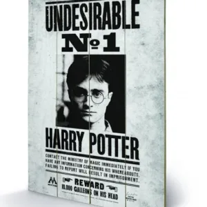 HARRY POTTER - Undesirable N° 1 - Impression sur bois 40x59cm